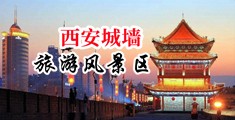 自摸逼中国陕西-西安城墙旅游风景区